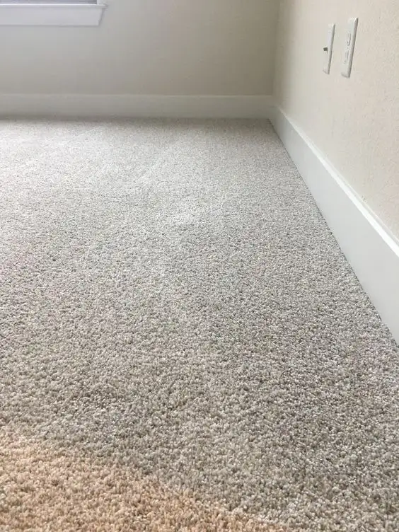 room with carpet flooring
